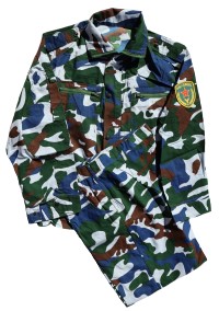 chcamo7bs.jpg (6173 bytes)